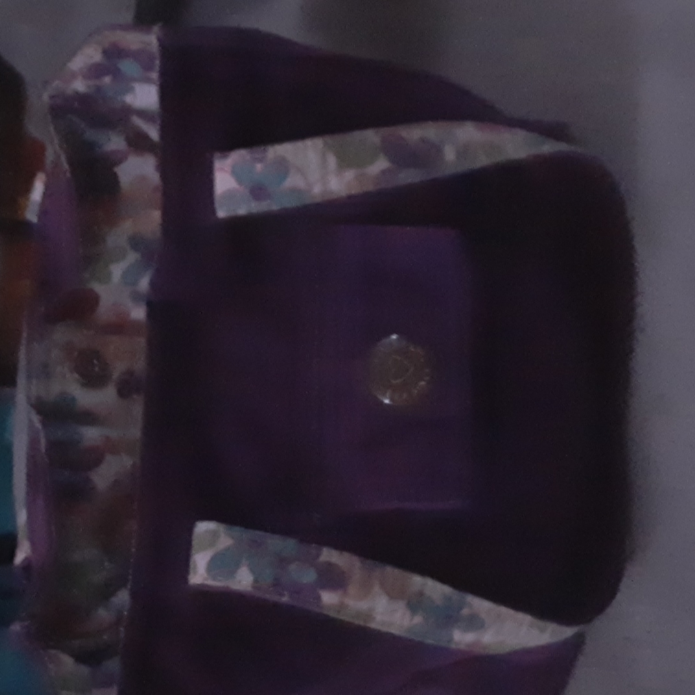 Handbag